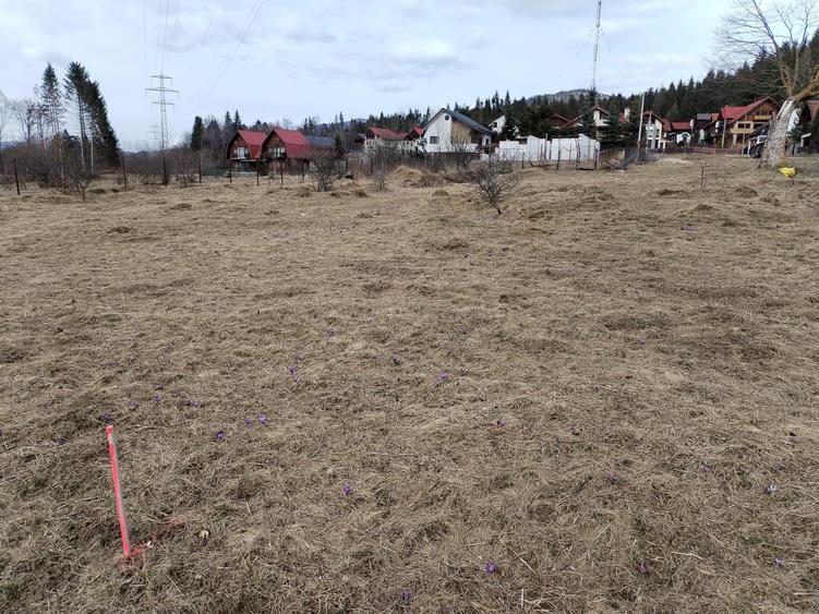 Teren intravilan cartier Cumpatu - 2