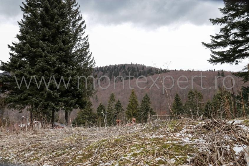 Busteni – Kalinderu, Teren Cu Vedere Senzationala Spre Muntii Bucegi! - 2