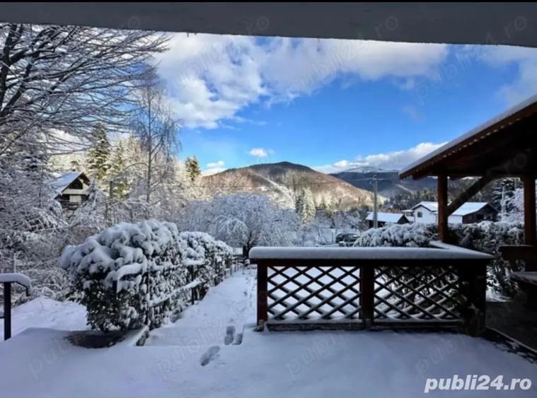 vila sinaia iepurasul 3 - 5