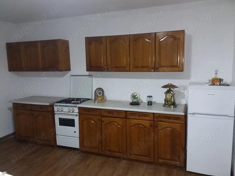 Casa cu teren foarte mare in Halmagiu - 2