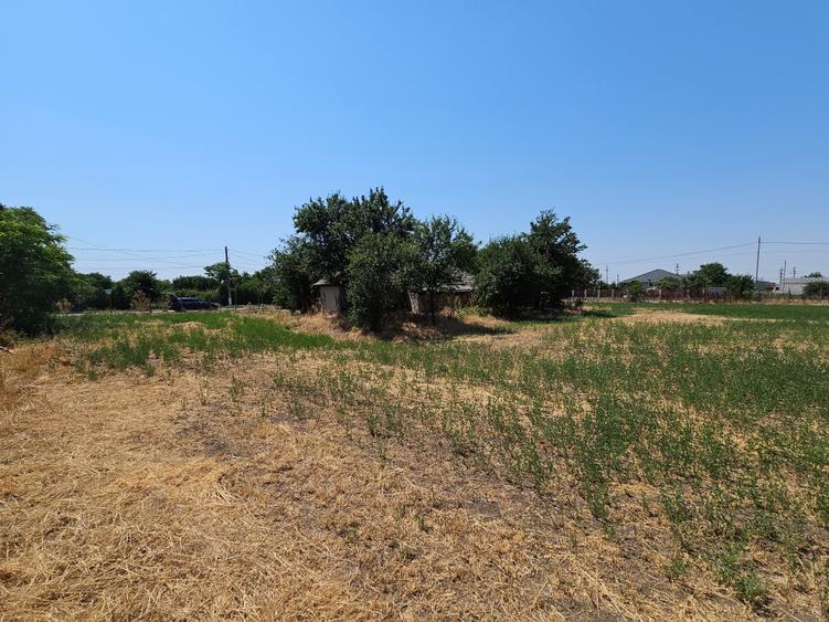 Teren 5.465 mp intravilan și front stradal – Topraisar, Constanța Comision Zero - 23