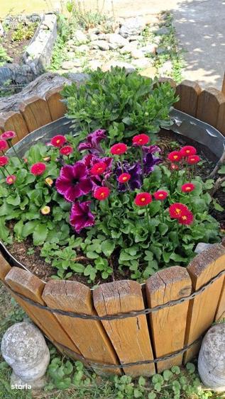 Pensiune, oportunitate excelenta de investitie - 7