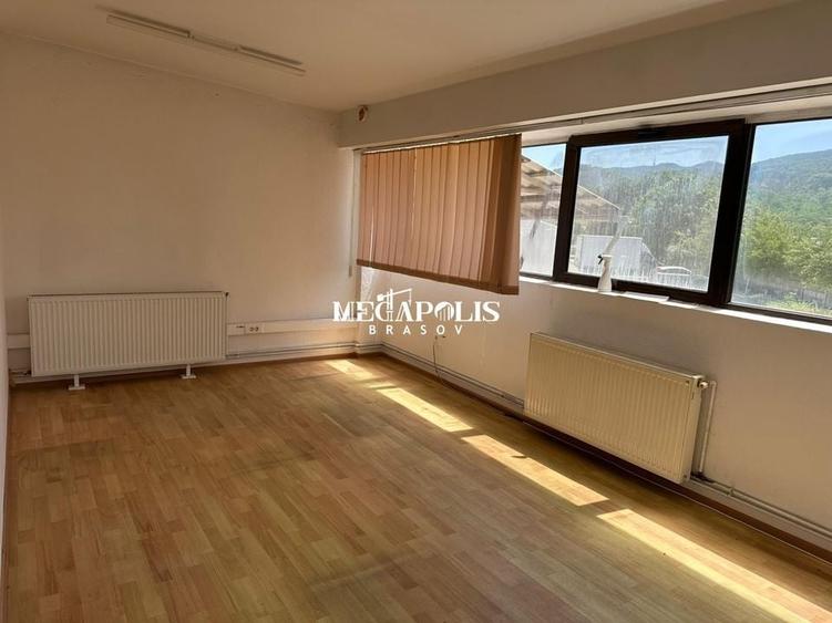 Hala Brintex str.Bazaltului / 5 euro mp - 14