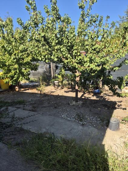 Casa individuala parter, Domnesti, zona Craitei-Foisorului. Investitie buna. - 6