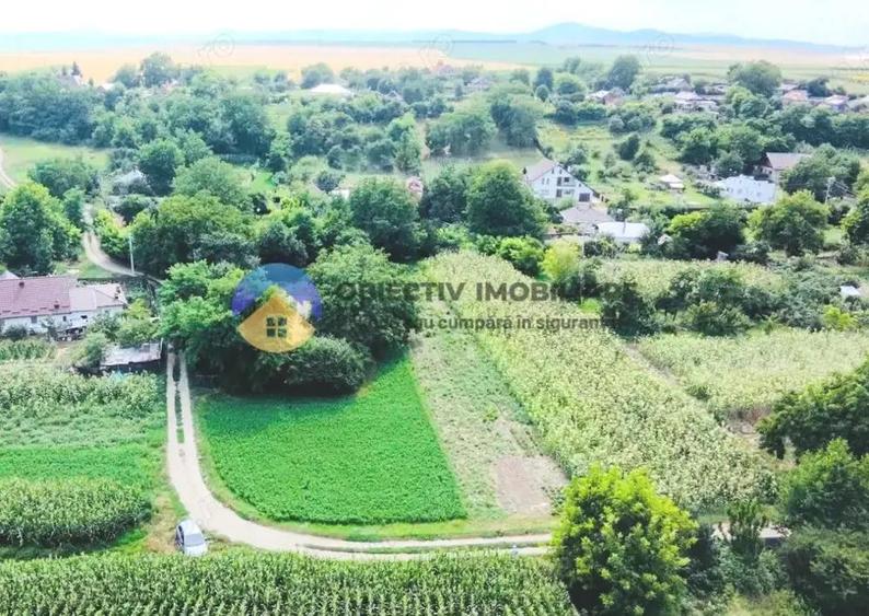 TEREN intravilan GIROV 4133 mp - 5