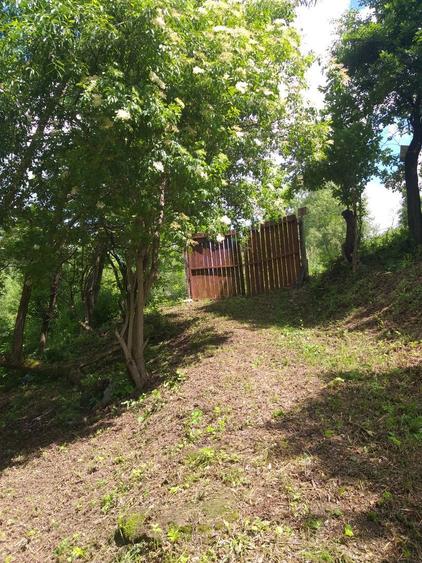 Teren de vanzare - 5