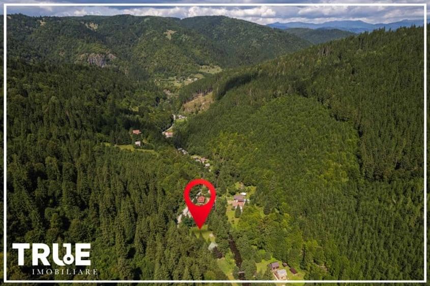 Cabană 160m? utili, teren 2253m?, Salard, Mureș! - 3