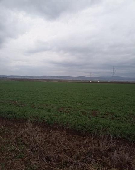 De vanzare terenuri intravilane intre Chilieni si Ozun - 5