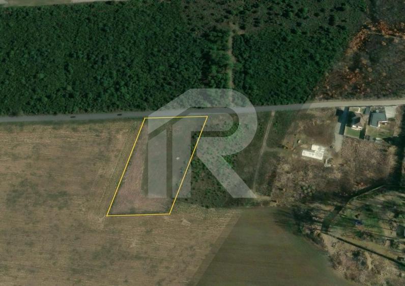 BALOTESTI - EDENLAND -  ideal investitie - Teren 5.254 mp, lângă pădure - 4