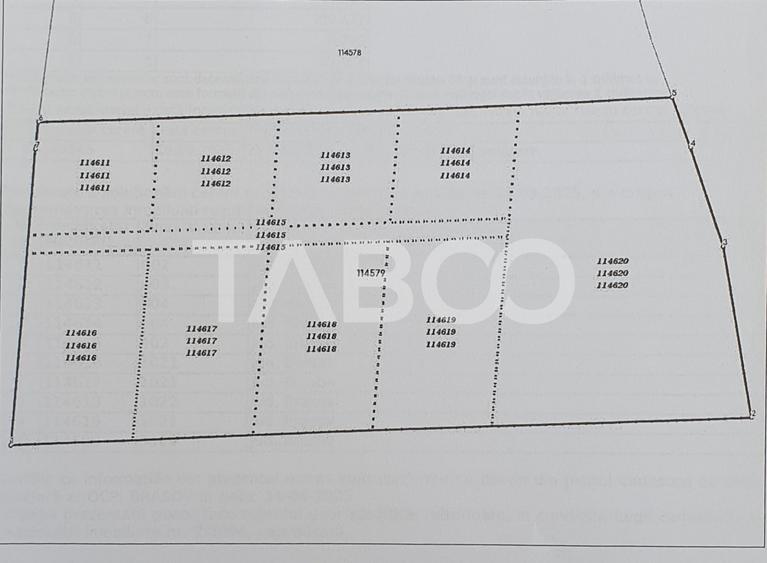 Tern de vanzare in extravilanul comunei Recea 6868 mp - 1