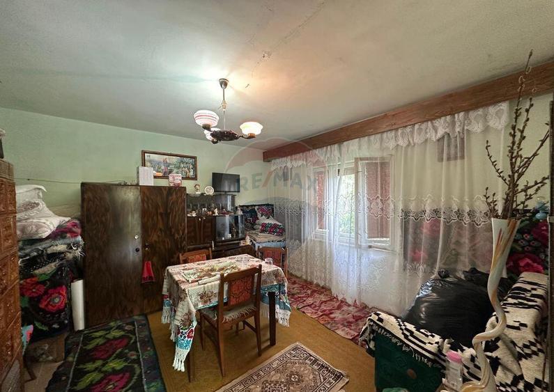 De vanzare GOSPODARIE in BUDESTI/ Maramures - 9