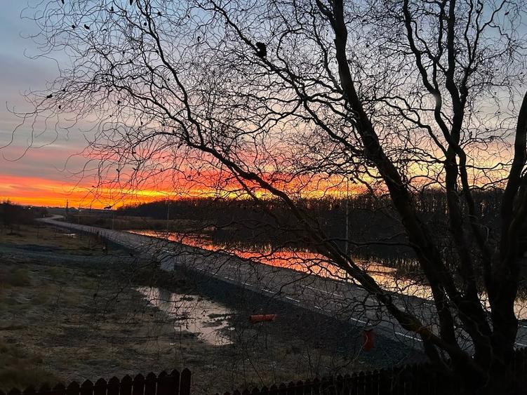 Casa din Padure - 11