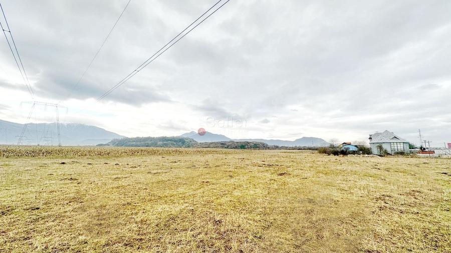 Teren Intravilan - Pretabil Constructie Industriala - 4