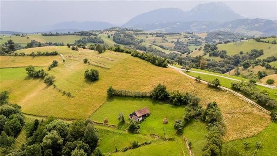 Proprietate + teren 10.400 mp incantoare pozitionare, Poiana Marului, Brasov - 11