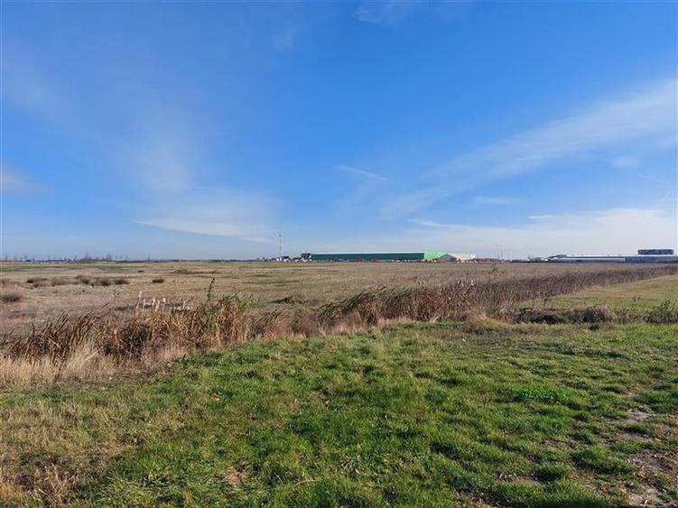 OCAZIE!!! Teren industrial in Chisineu Cris, la doar 20 euro mp! Parcelare la ce - 9