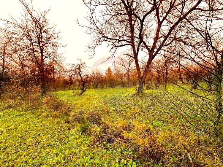 DE VANZARE LOCATIE SUPERBA - 5