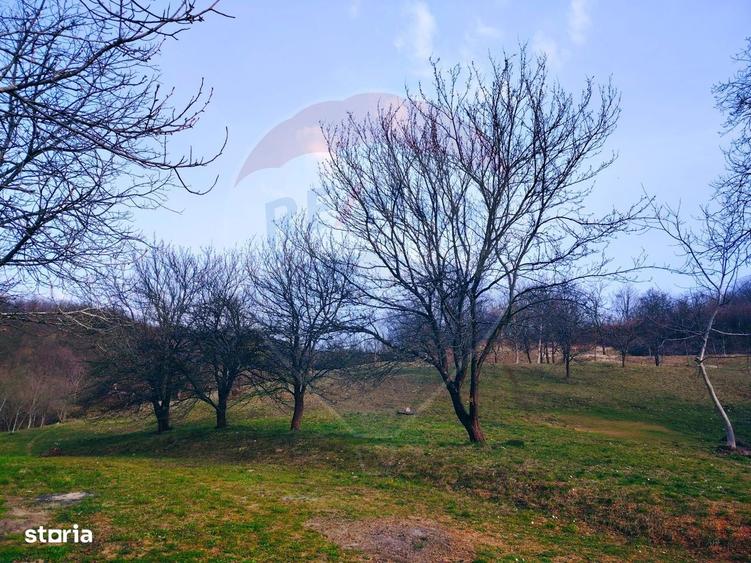 Teren intravilan generos 3.206 mp in Remecioara | Priveli?te deosebita - 3