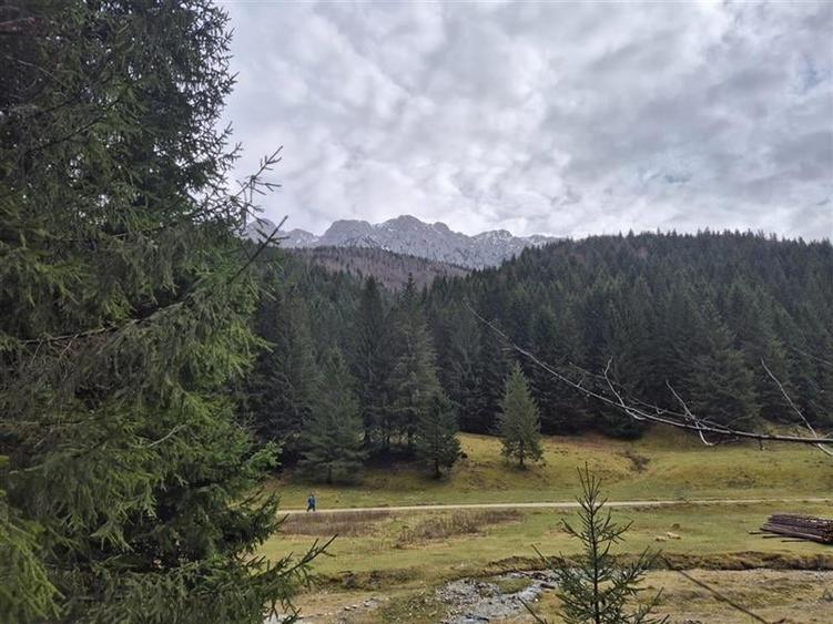 Teren intravilan panoramic 4.600mp,view iconic Piatra Craiului,oportunitate prem - 16