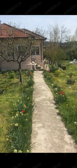 De Vanzare Casa Caramida +Teren drept intravilan - 3