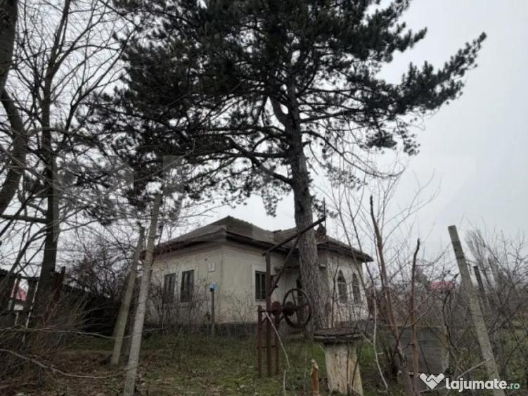 Casa parter 2714 mp teren, front 104 ml, strada principala C - 2