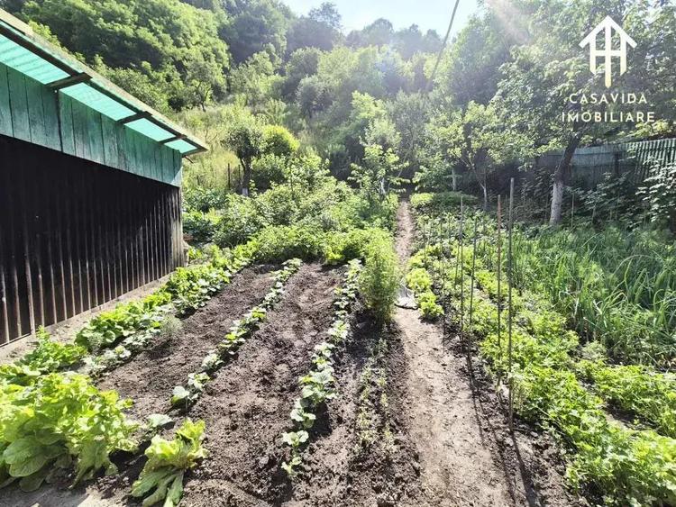 Casa de vanzare in Nadrag, jude?ul Timi? - 11