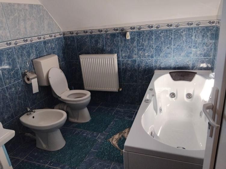 Casa de vanzare P+M zona Budesti Valcea - 7