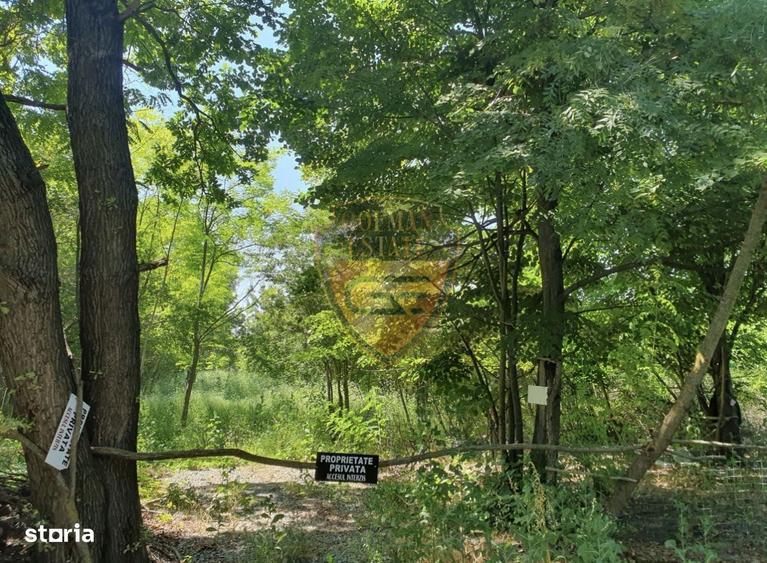 Teren 5526mp, intravilan, Jupiter, 2 deschideri drum si alee carosabil - 3