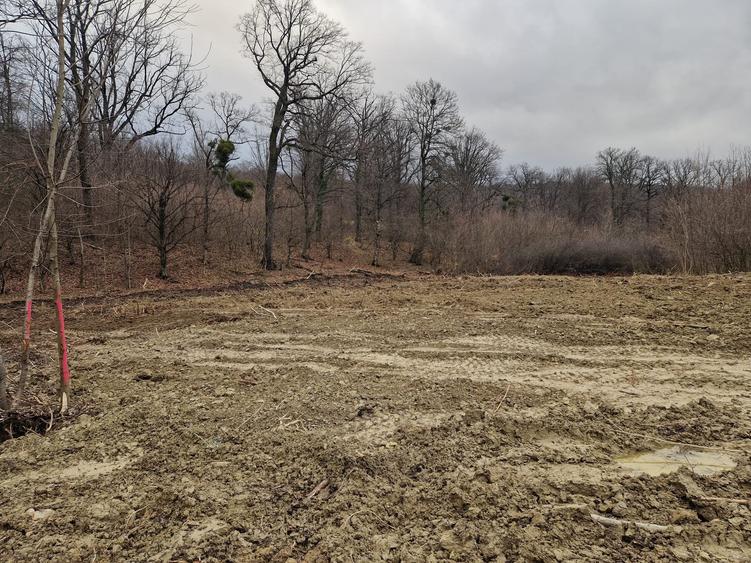 Teren parcele, de la 748mp la 3024mp, Barnova Sf. Ap. Petru - 5