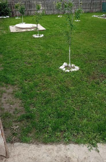 Vand casa in comuna Gradi?tea sat rasa - 3