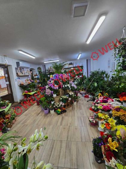 De vânzare spațiu comercial in centrul orasului Baraolt - 7