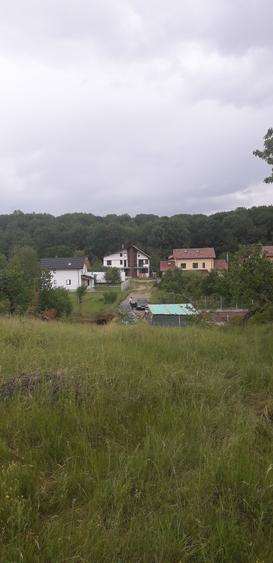 Teren deosebit, langa padure - 1