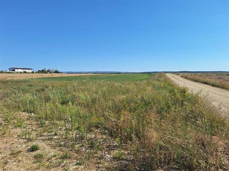 Reco, Teren intravilan Osorhei - 6