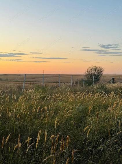 AV655 Teren-Balta 6.663mp, in Masloc-Alios, IDEAL INVESTITIE - 1