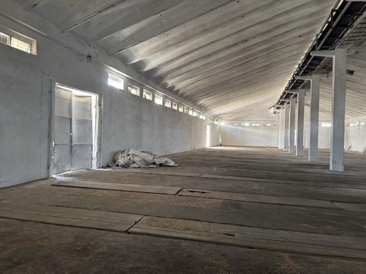 Ferma-Baza- depozit cereale- de vanzare- Barlad- Banca - Vaslui - 3