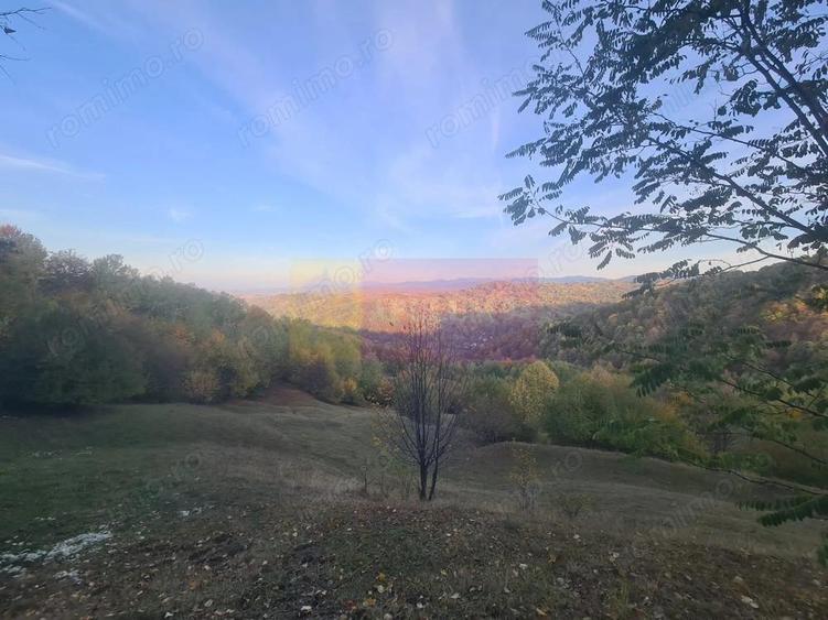 Teren intravilan de vanzare in Telega - 7