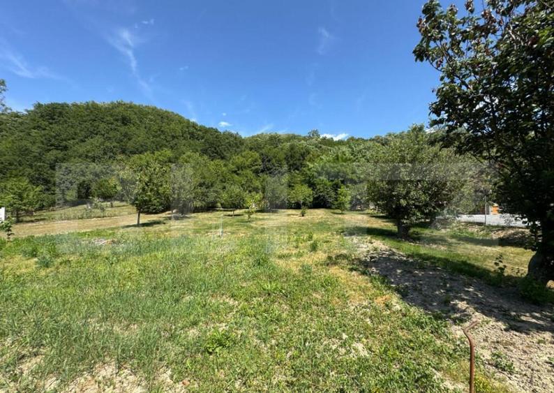 Casa cu 2 camere 53 mp in Lesnic, COMISION 0 PENTRU CUMPARAT - 1