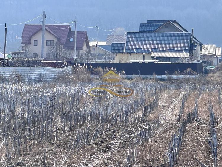 De vanzare teren intravilan Hemeius Bacau - 1