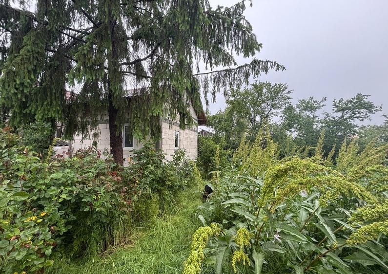 De vanzare casa 3 camere la rosu De vanzare casa 3 camere la rosu