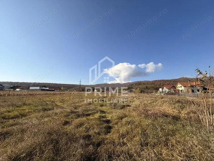 TEREN INTRAVILAN PANORAMIC 550 MP, ZONA PENNY MICESTI, ALBA IULIA - 1