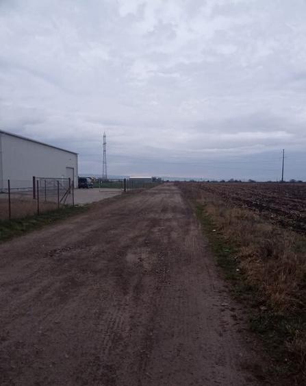 De vanzare terenuri intravilane intre Chilieni si Ozun - 8