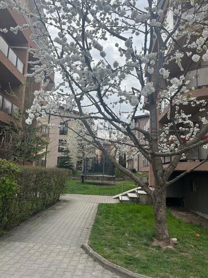P.F. Inchiriez apartament cu 2 camere Manastur 380 usor negociabil - 7