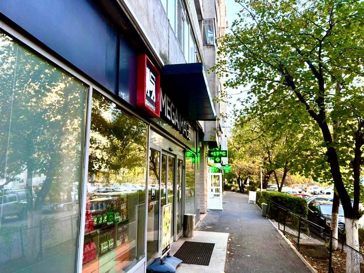 Spatiu comercial 270 mp de vanzare – Tineretului, vad intens - 2