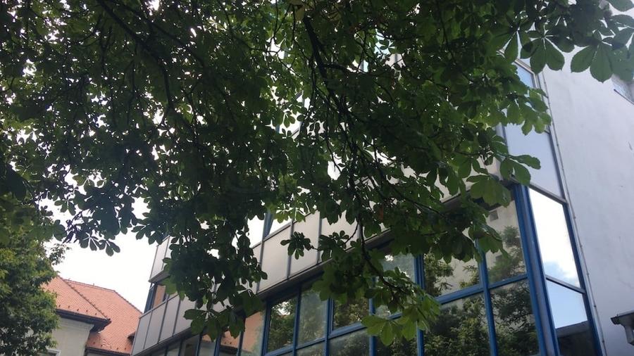 REC3000152 Cladire birouri Victoriei - Banu Manta - 5