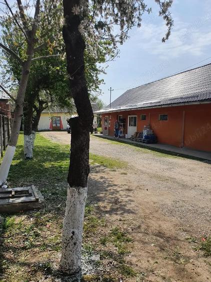 Vand magazin alimentar - 1