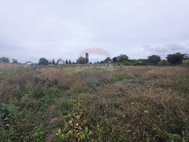 Casă cu livadă și teren generos – Girov - 43