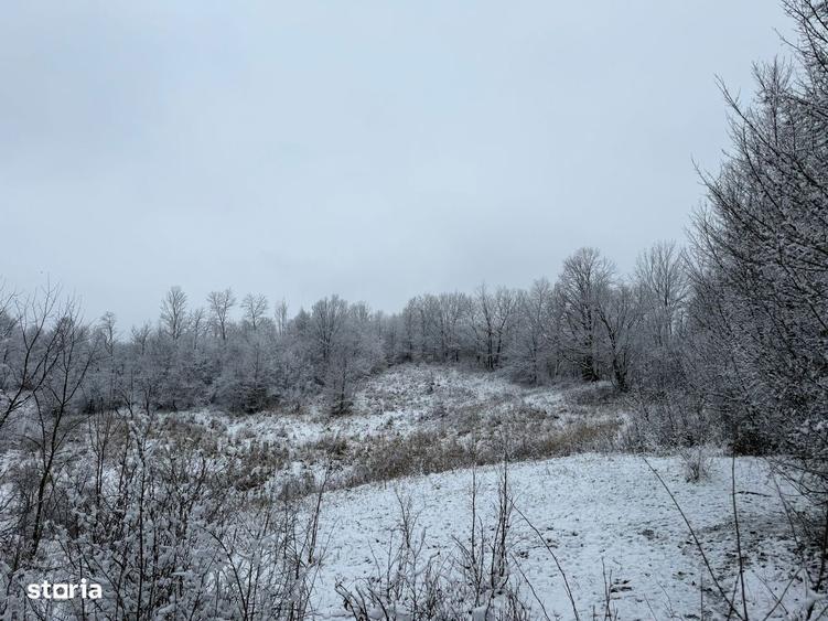 Provita de Jos - teren 3824mp - 18 Euro/mp Neg. - 6