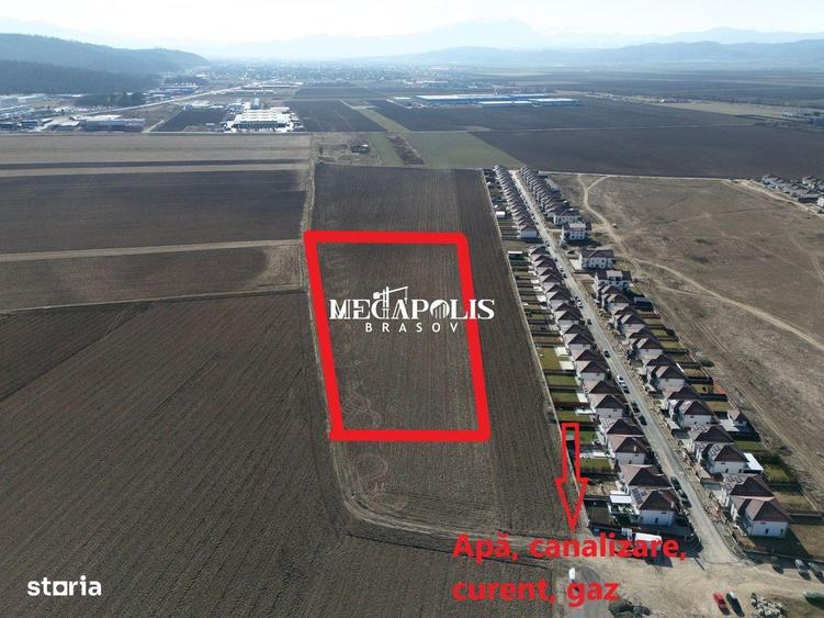 Teren 12.500 mp Ghimbav Cartierul Florilor | Ghimbav - 4