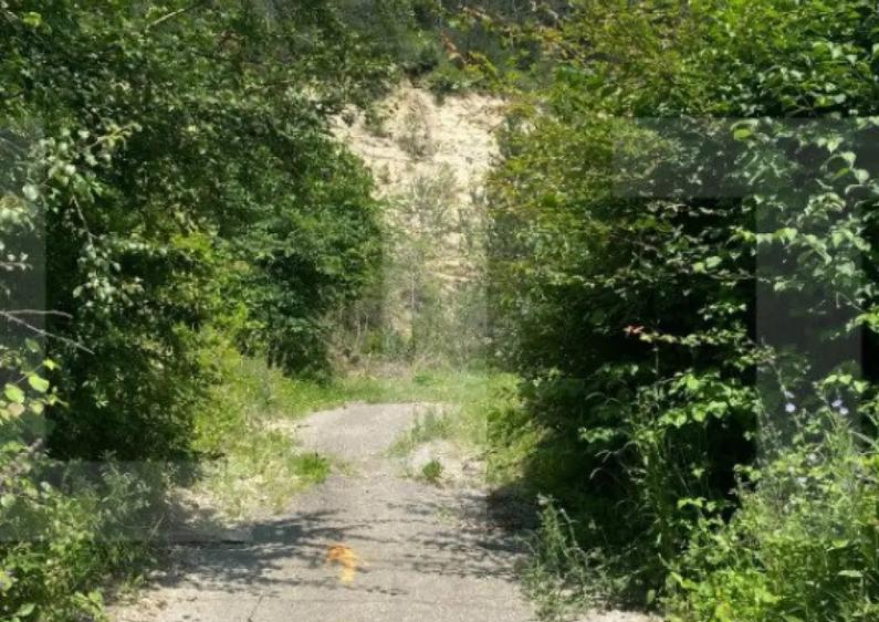 Teren intravilan, 842 mp, 27 ml front la drum, Cheile Baciul - 1