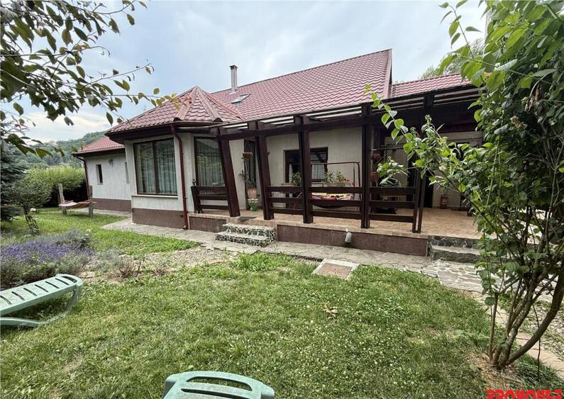 Casa deosebita in sat Podis - zona Dubas - 13