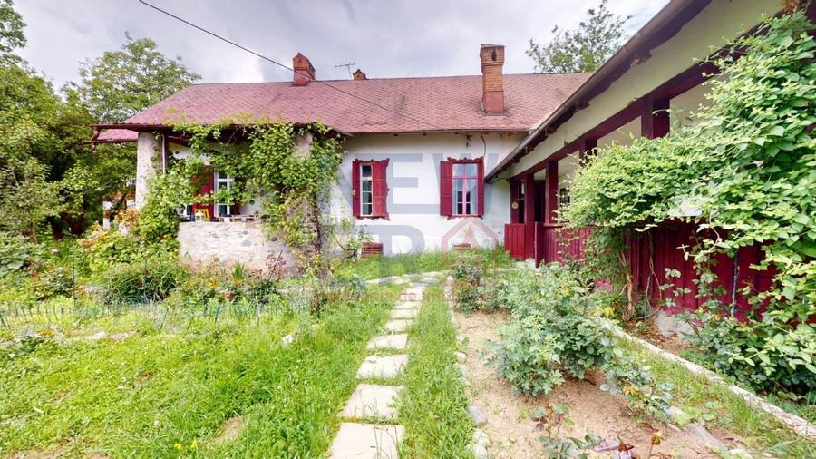 CONACUL GEORGE STEPHANESCU - 10